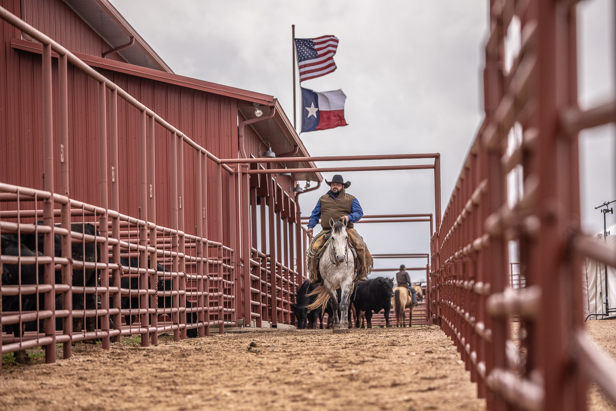 44Farms_Cameron_BullSale_Feb2021-523688