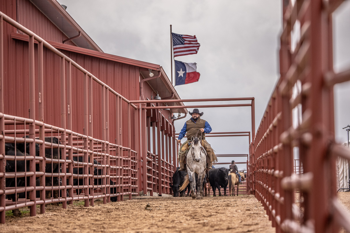 44Farms_Cameron_BullSale_Feb2021-523689