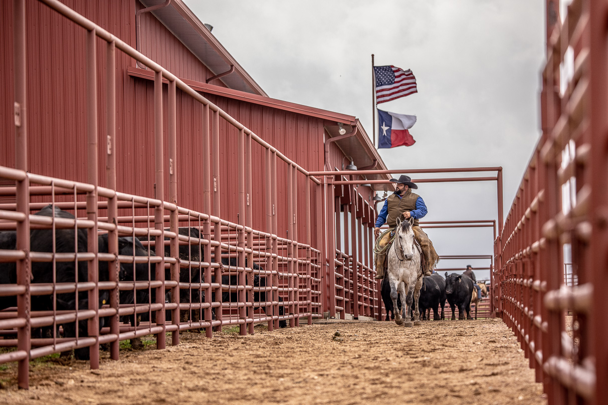 44Farms_Cameron_BullSale_Feb2021-523693