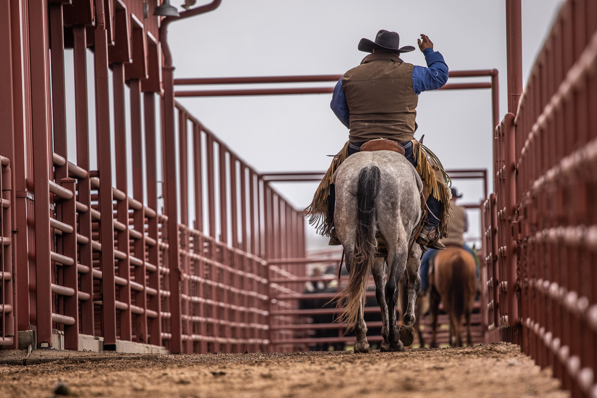 44Farms_Cameron_BullSale_Feb2021-523756