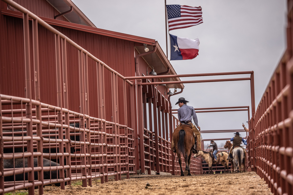 44Farms_Cameron_BullSale_Feb2021-523783