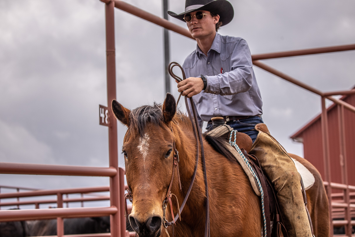 44Farms_Cameron_BullSale_Feb2021-523875
