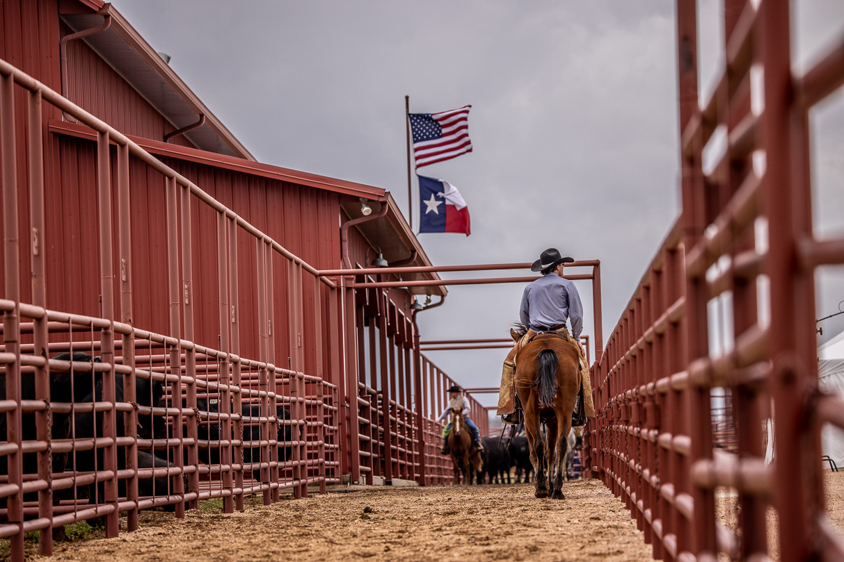 44Farms_Cameron_BullSale_Feb2021-523876
