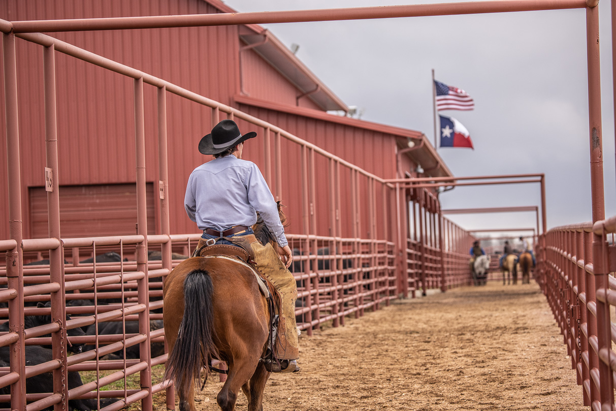 44Farms_Cameron_BullSale_Feb2021-524013