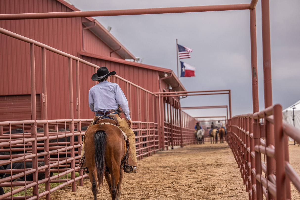 44Farms_Cameron_BullSale_Feb2021-524015