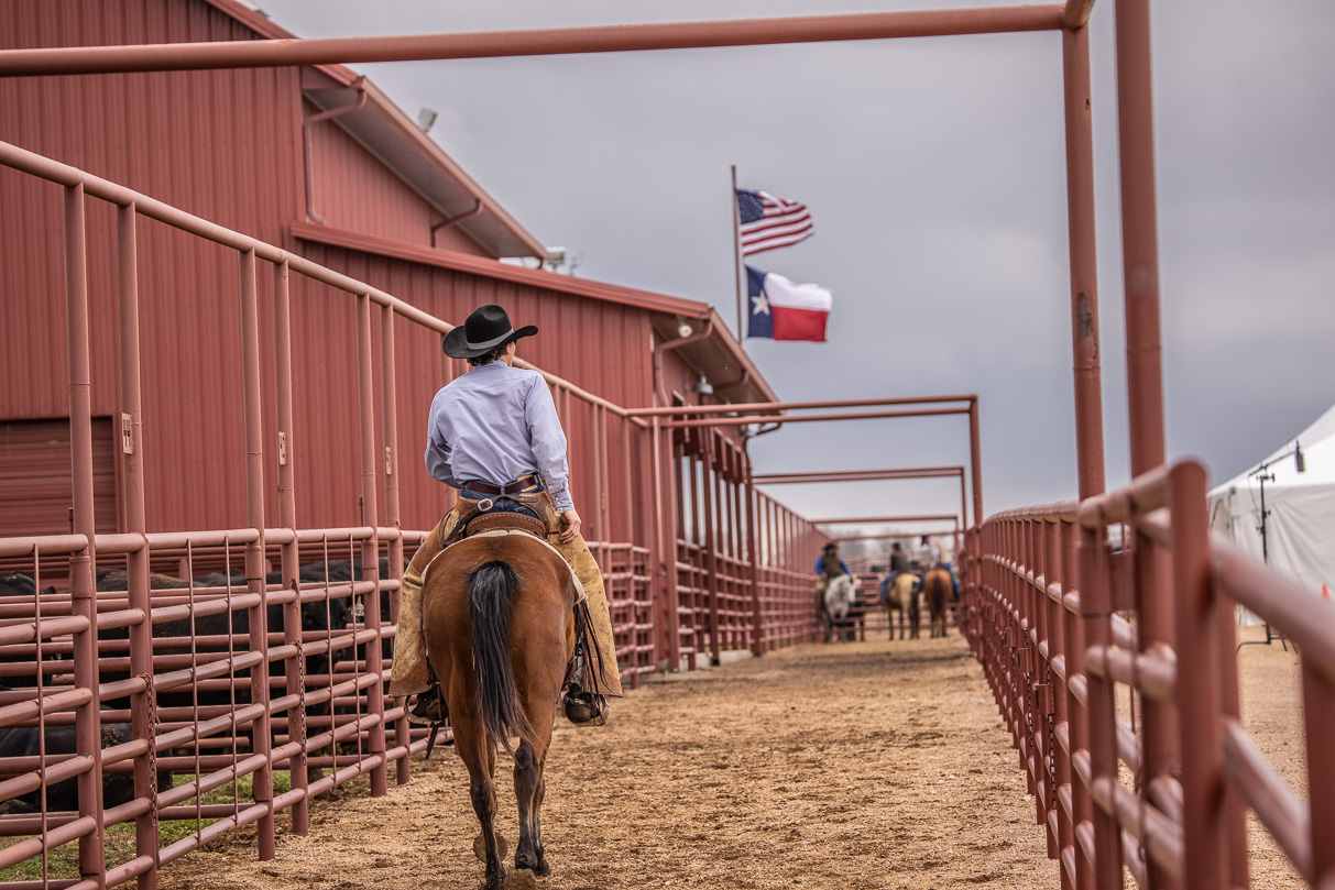 44Farms_Cameron_BullSale_Feb2021-524016