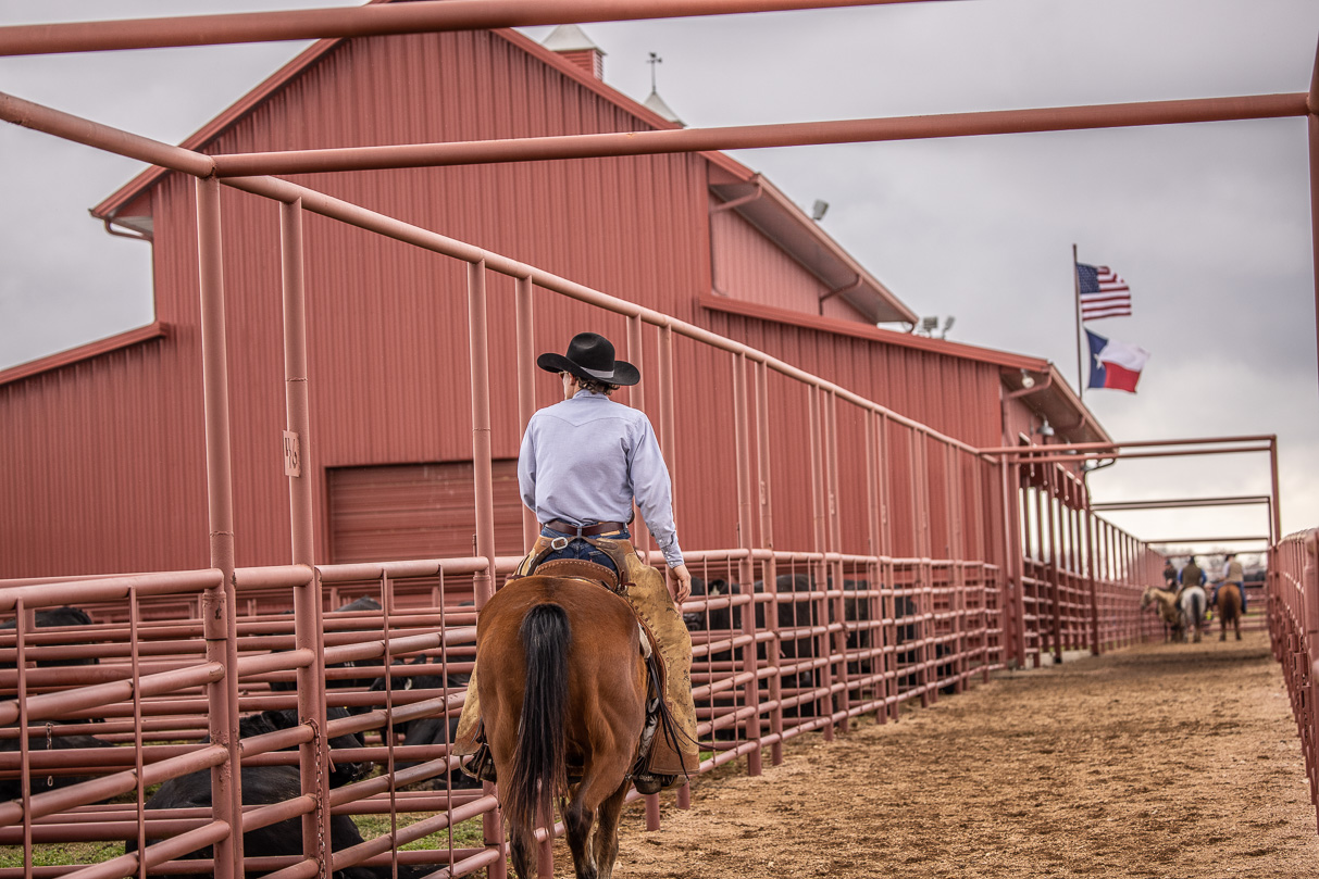 44Farms_Cameron_BullSale_Feb2021-524095