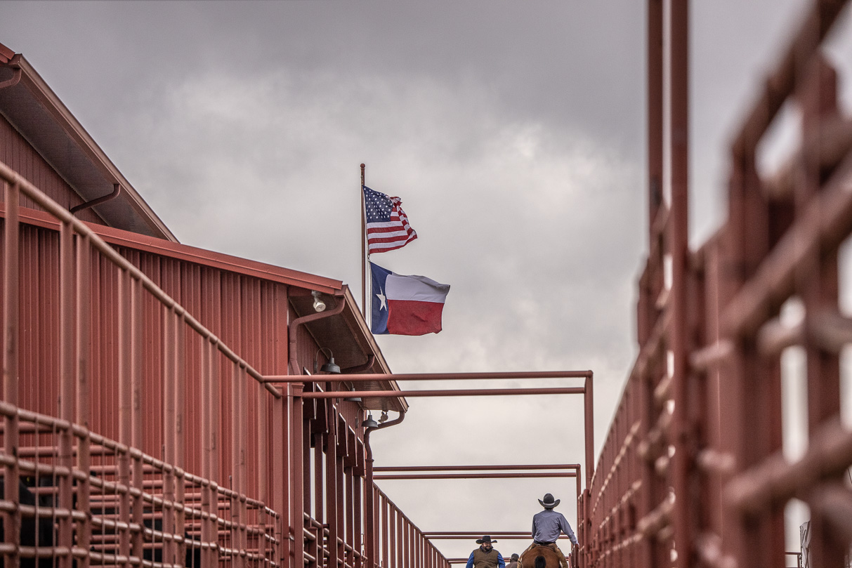 44Farms_Cameron_BullSale_Feb2021-524112