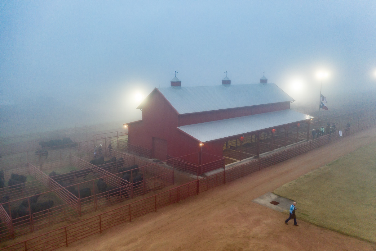 44Farms_Cameron_BullSale_Feb2021-0617