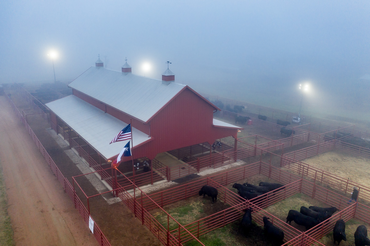 44Farms_Cameron_BullSale_Feb2021-0662