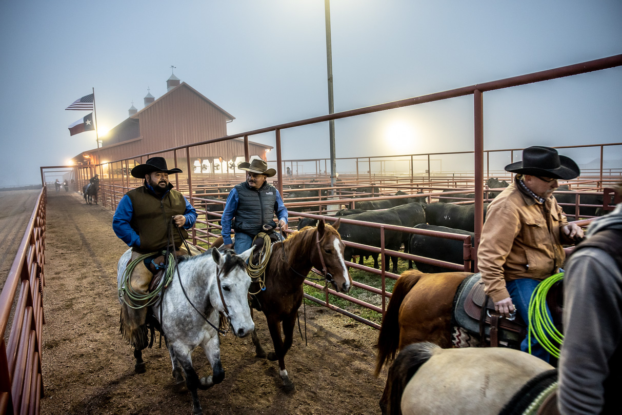44Farms_Cameron_BullSale_Feb2021-515933