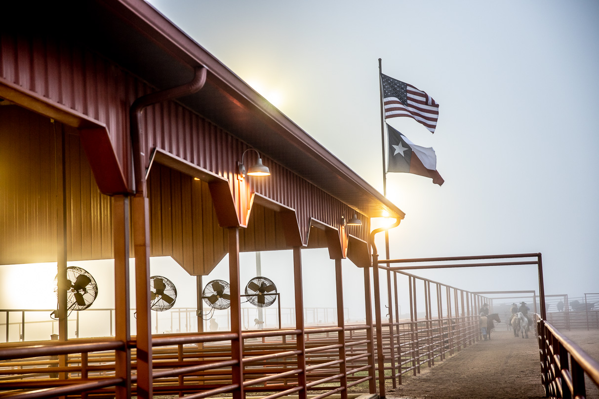 44Farms_Cameron_BullSale_Feb2021-515962