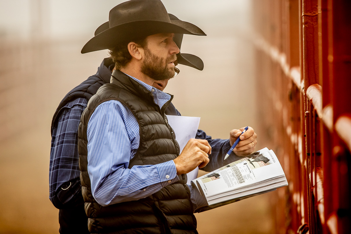 44Farms_Cameron_BullSale_Feb2021-516012