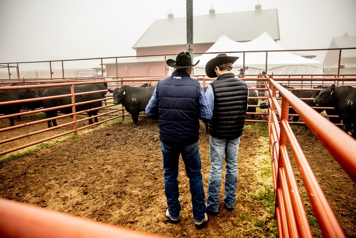 44Farms_Cameron_BullSale_Feb2021-516016