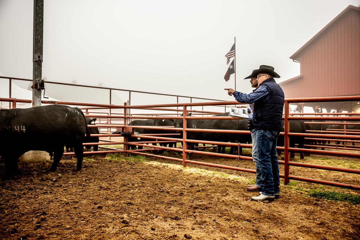 44Farms_Cameron_BullSale_Feb2021-516025