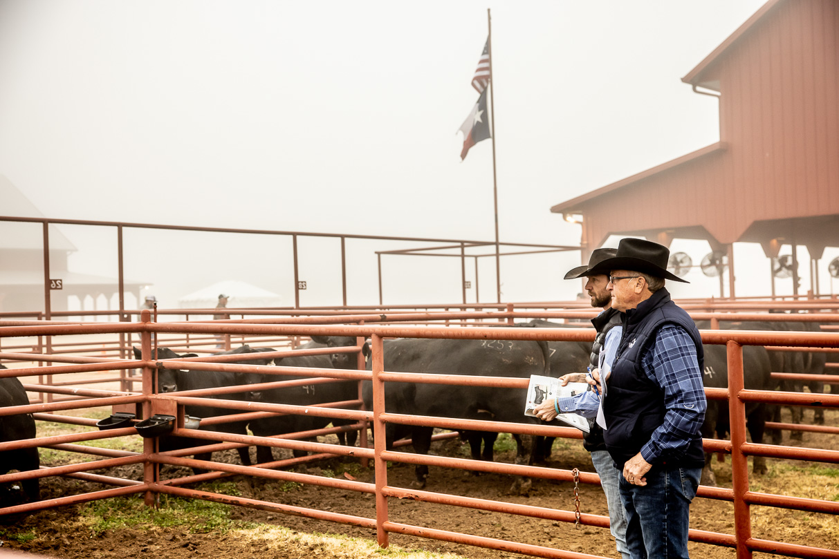 44Farms_Cameron_BullSale_Feb2021-516042