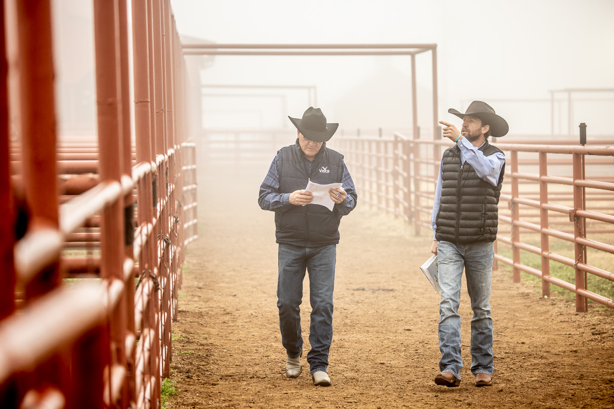 44Farms_Cameron_BullSale_Feb2021-516217