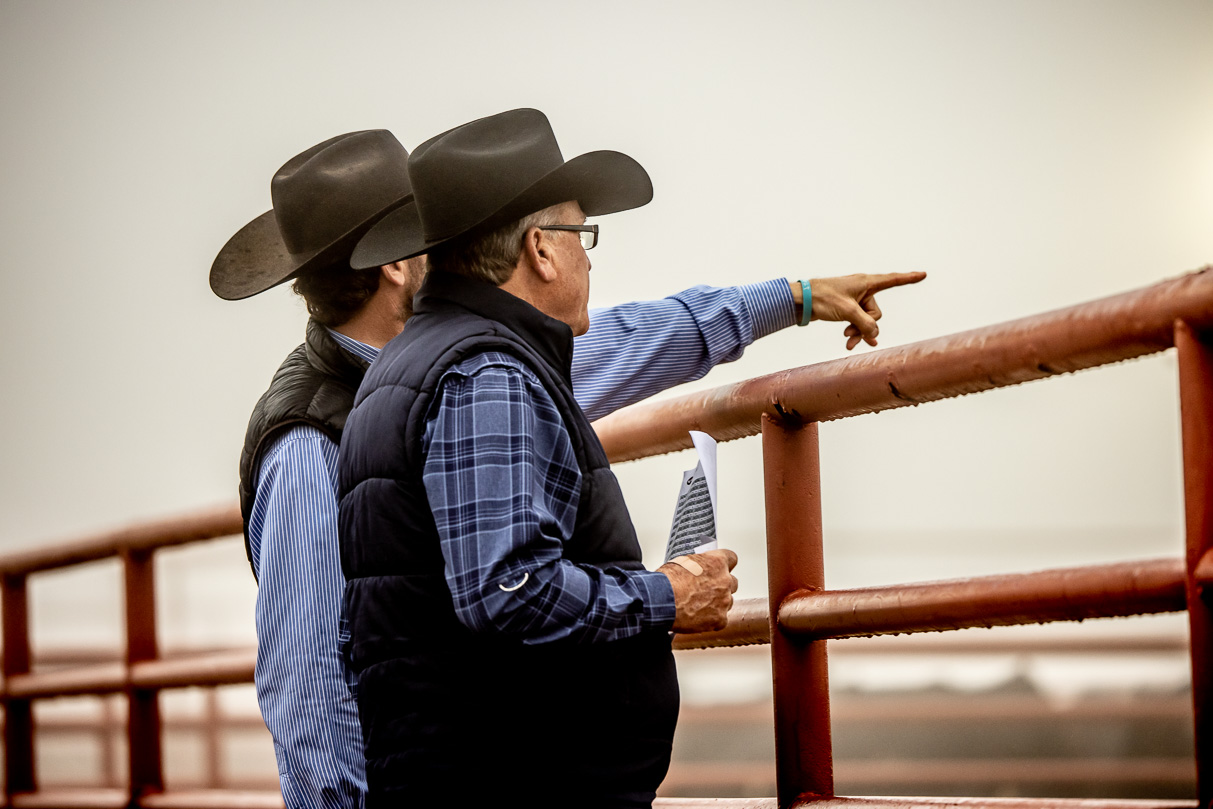 44Farms_Cameron_BullSale_Feb2021-516230