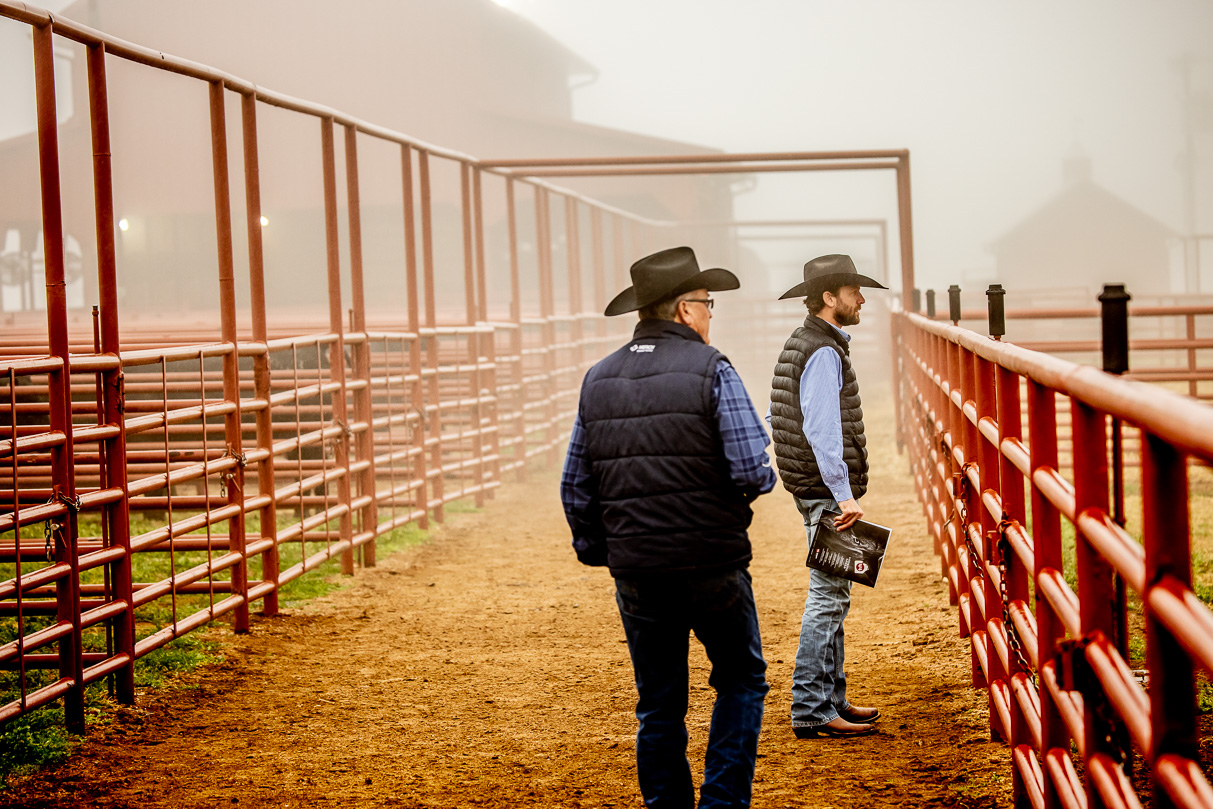 44Farms_Cameron_BullSale_Feb2021-516241