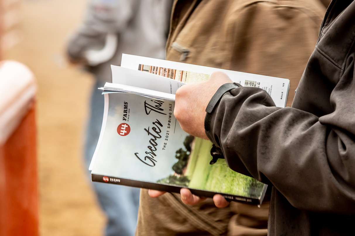 44Farms_Cameron_BullSale_Feb2021-516327