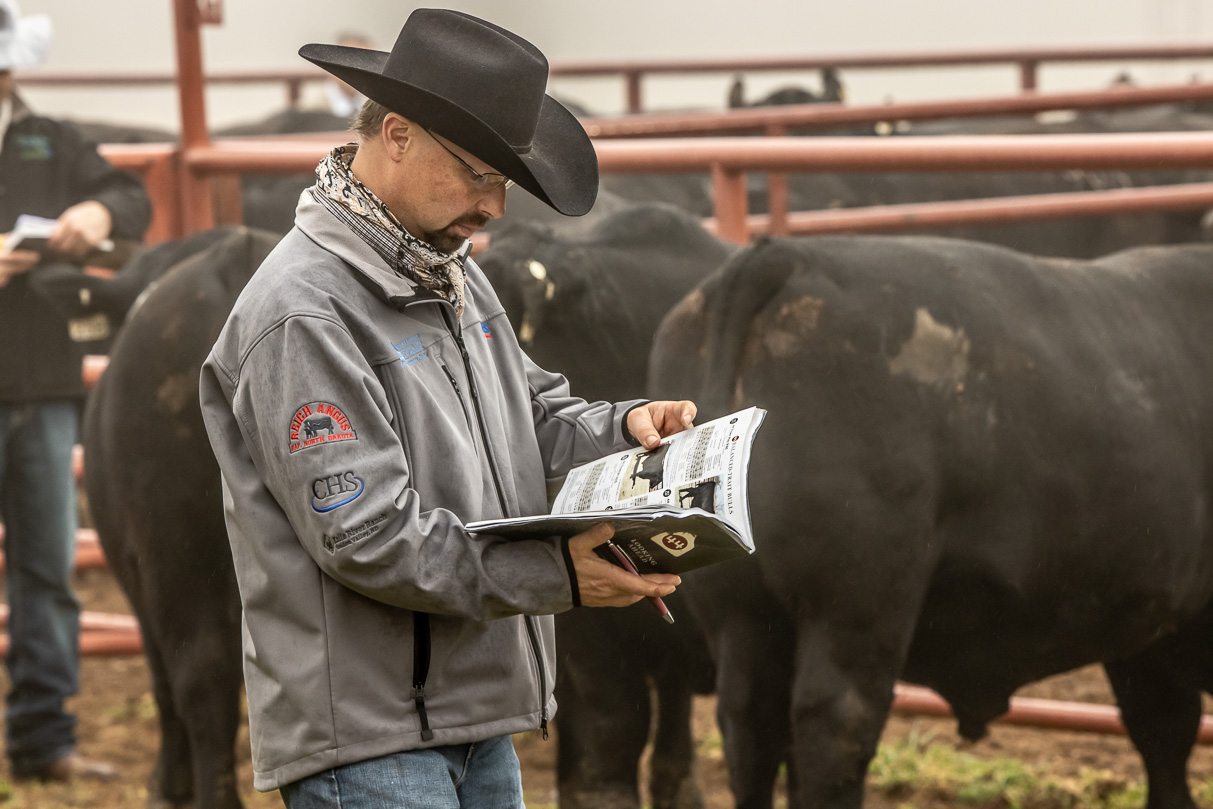 44Farms_Cameron_BullSale_Feb2021-516412