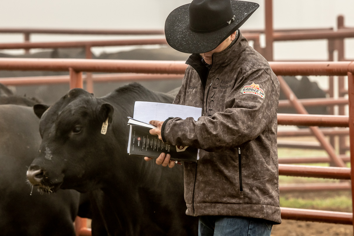 44Farms_Cameron_BullSale_Feb2021-516491