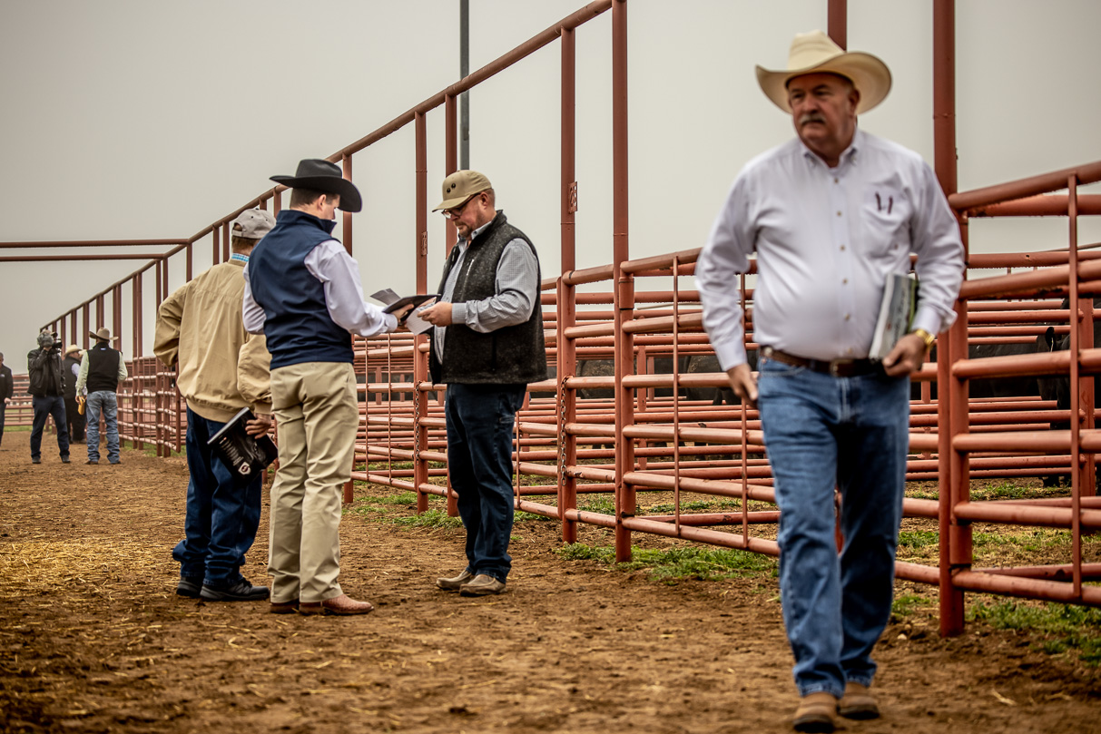 44Farms_Cameron_BullSale_Feb2021-516737