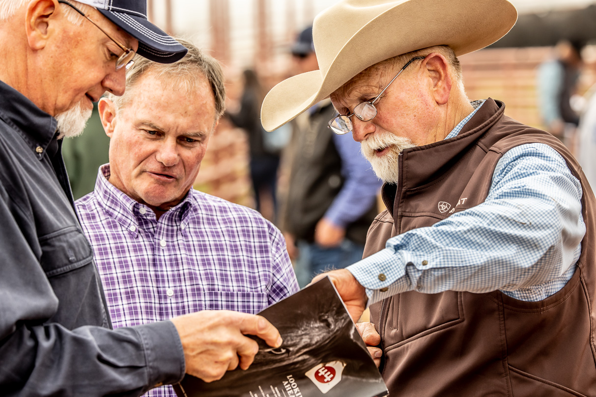 44Farms_Cameron_BullSale_Feb2021-516947