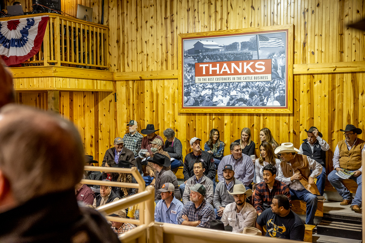 44Farms_Cameron_BullSale_Feb2021-517077
