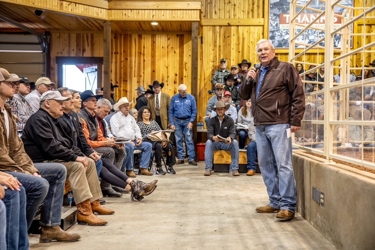 44Farms_Cameron_BullSale_Feb2021-517100