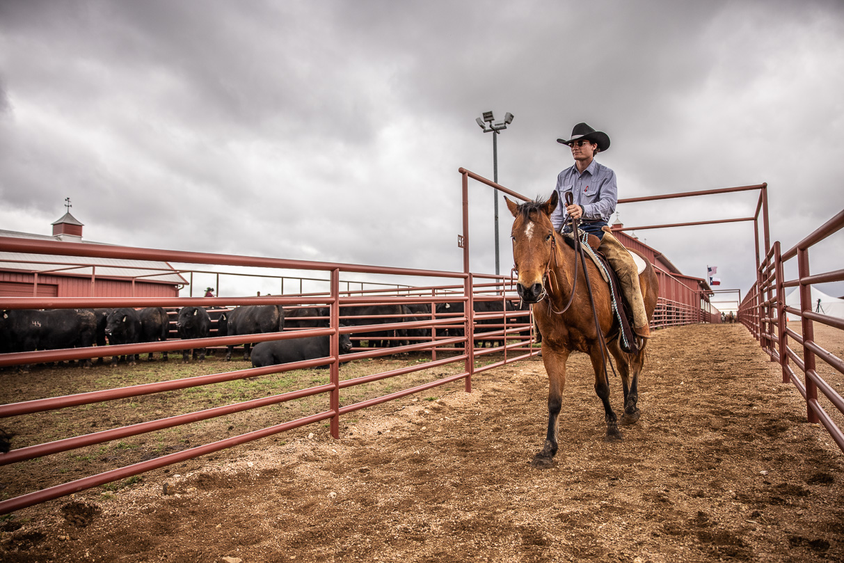 44Farms_Cameron_BullSale_Feb2021-517660