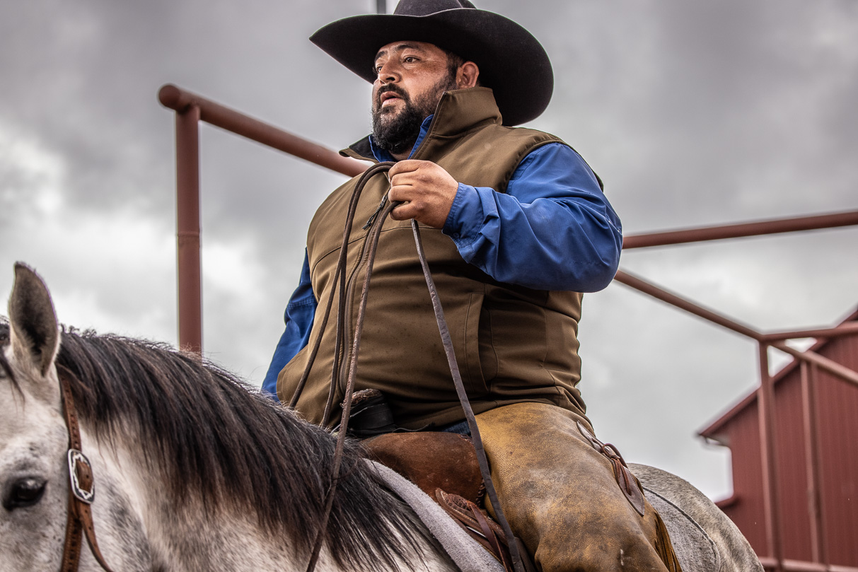 44Farms_Cameron_BullSale_Feb2021-524292