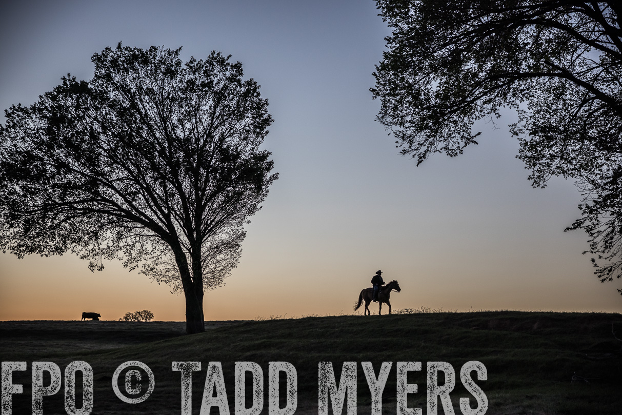 TMyers_44Farms_Cameron_March2021-4523