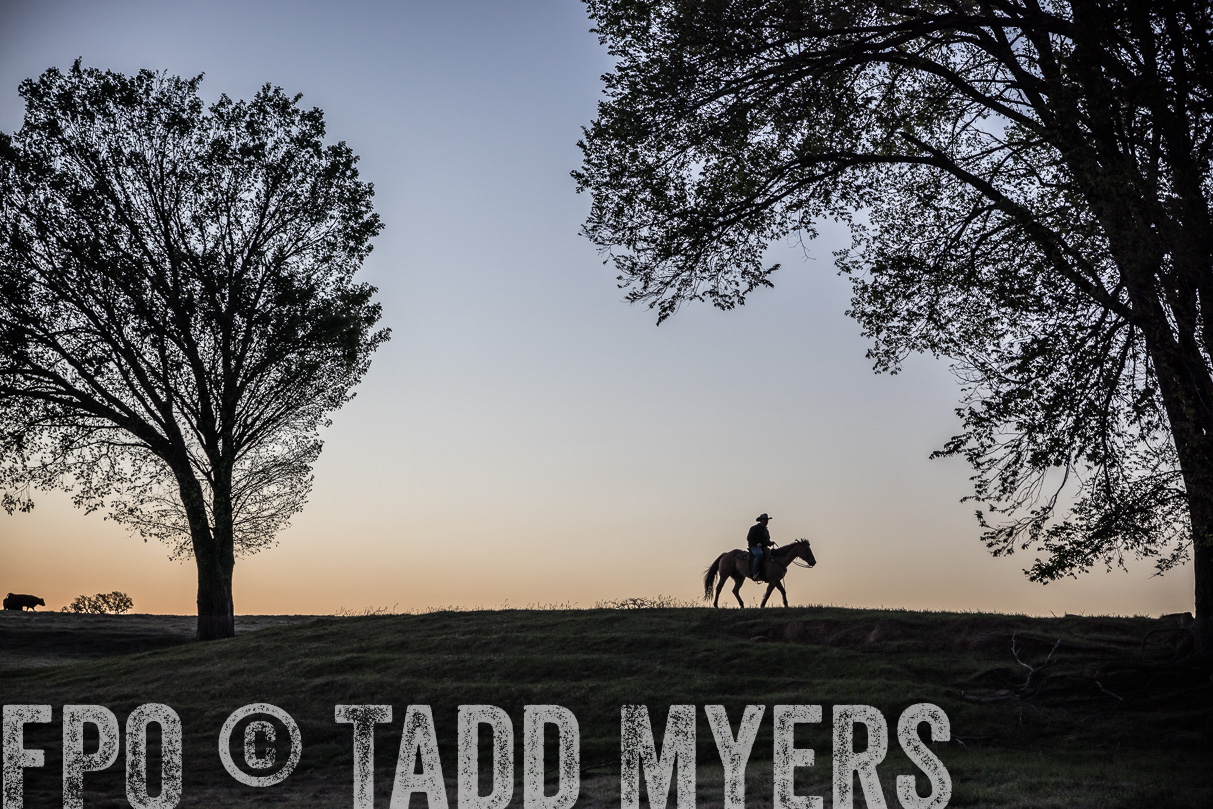 TMyers_44Farms_Cameron_March2021-4527