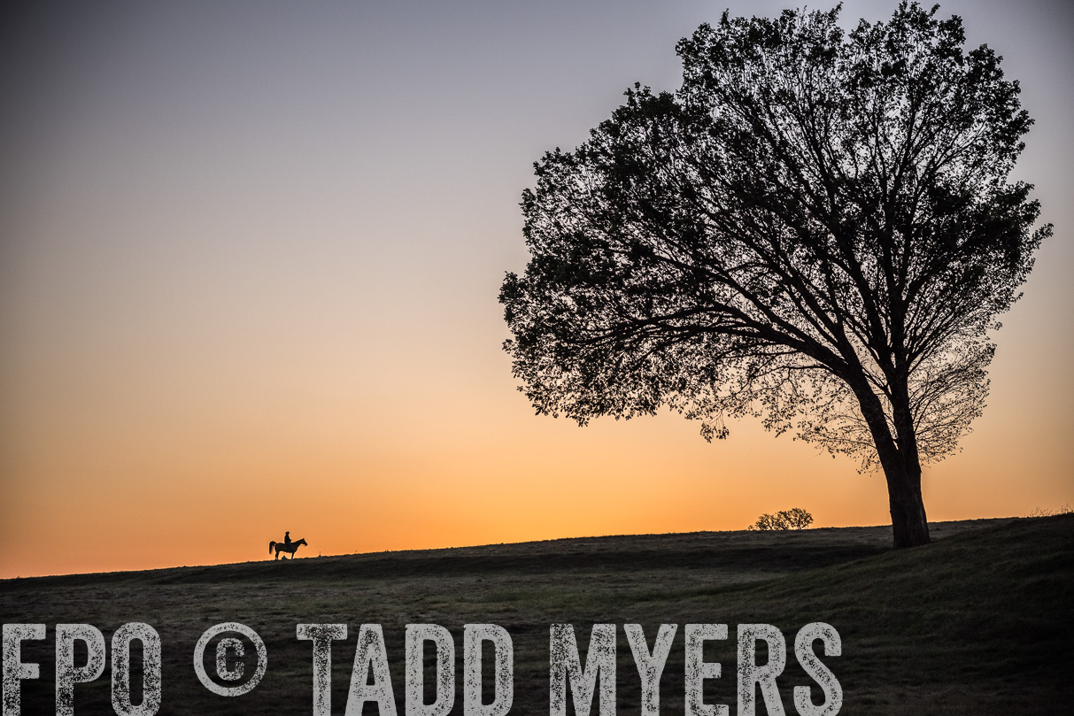 TMyers_44Farms_Cameron_March2021-4774