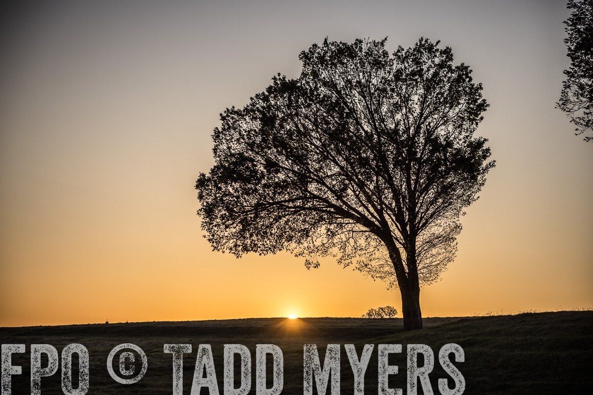 TMyers_44Farms_Cameron_March2021-4801