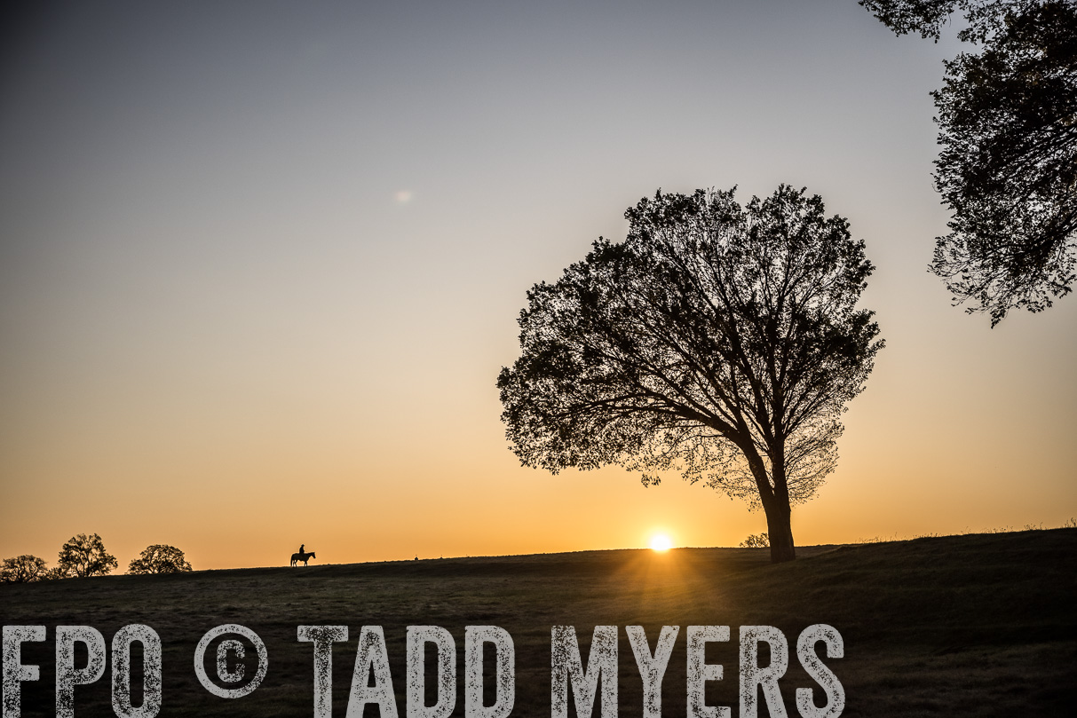 TMyers_44Farms_Cameron_March2021-4855