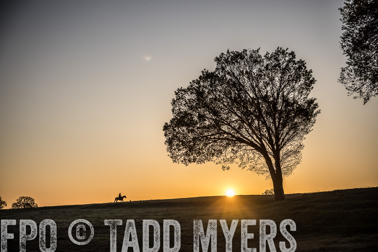 TMyers_44Farms_Cameron_March2021-4862