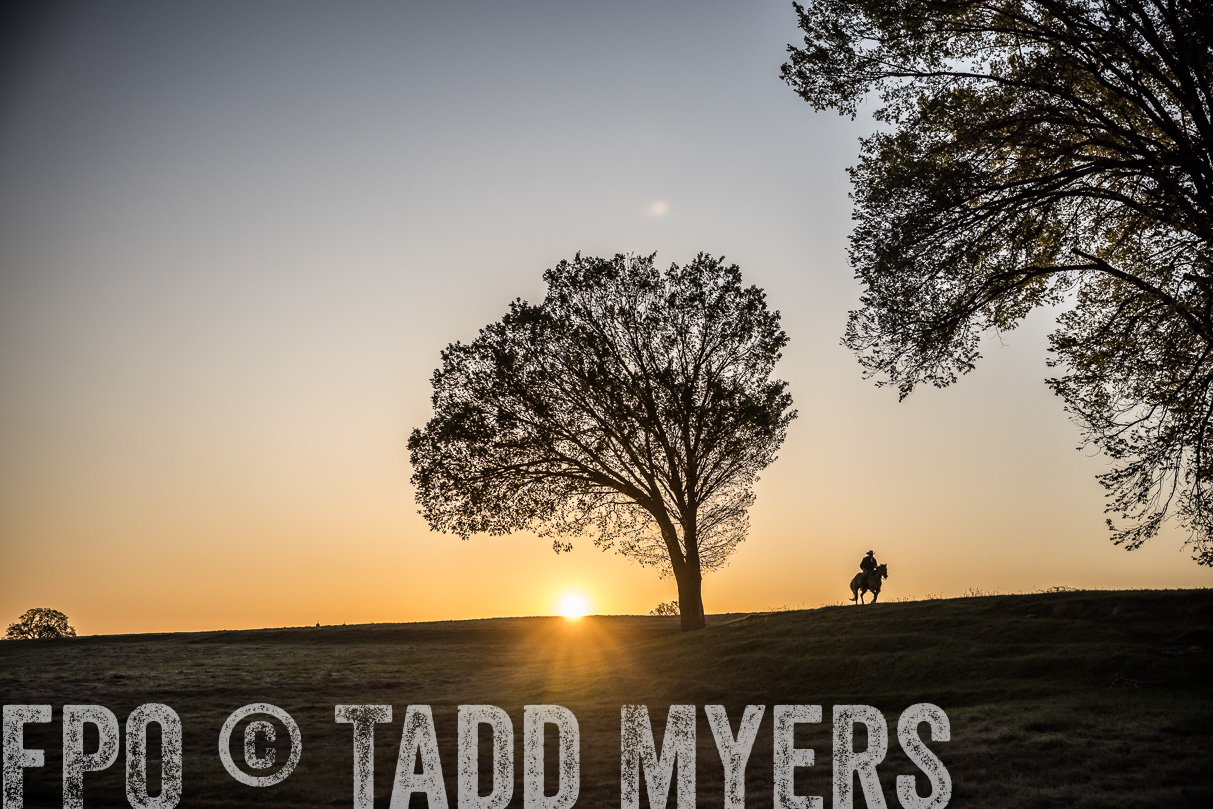 TMyers_44Farms_Cameron_March2021-4889