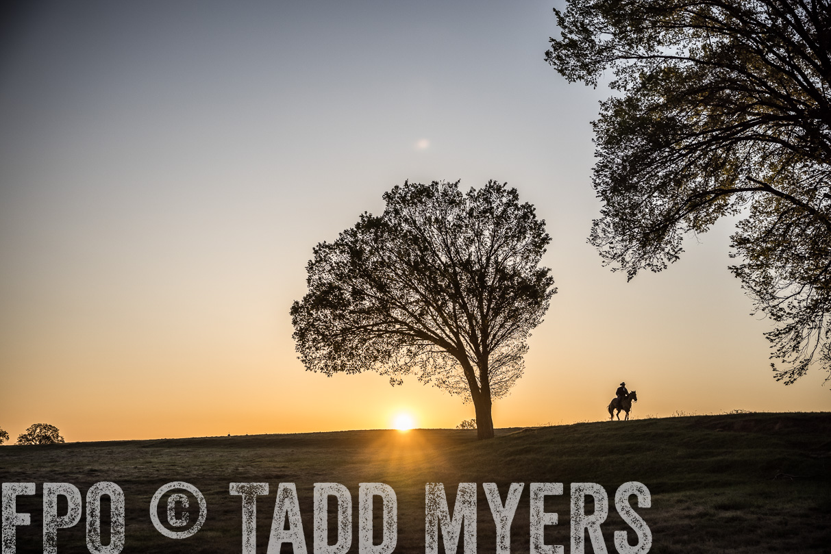 TMyers_44Farms_Cameron_March2021-4891