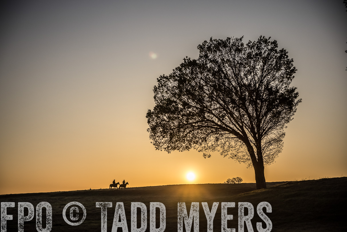 TMyers_44Farms_Cameron_March2021-4967