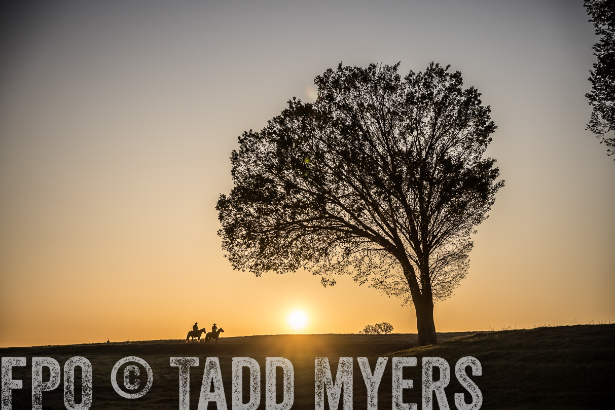 TMyers_44Farms_Cameron_March2021-4972