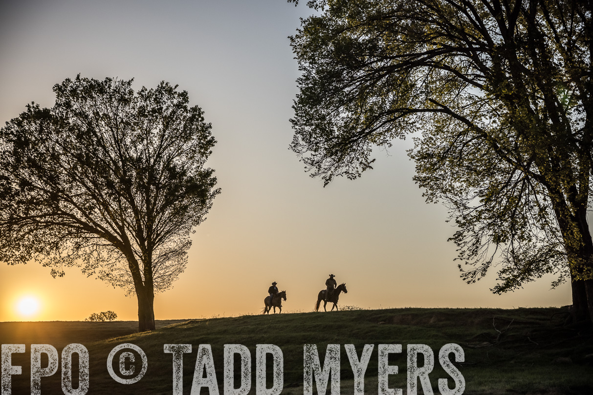 TMyers_44Farms_Cameron_March2021-5017
