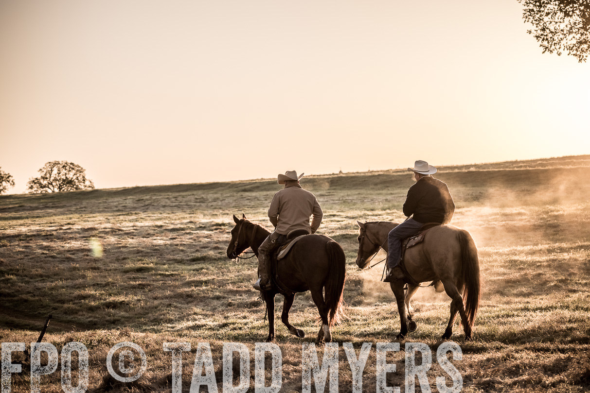 TMyers_44Farms_Cameron_March2021-5164