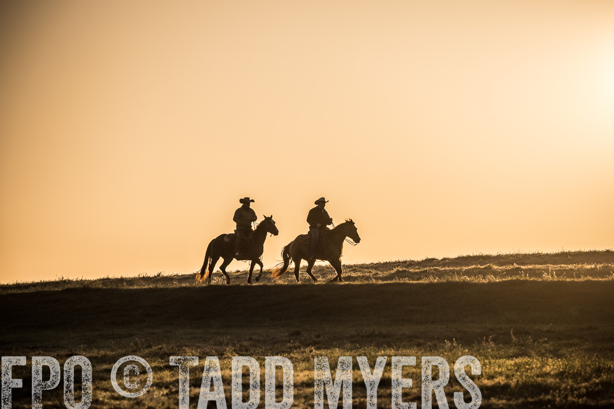 TMyers_44Farms_Cameron_March2021-5188