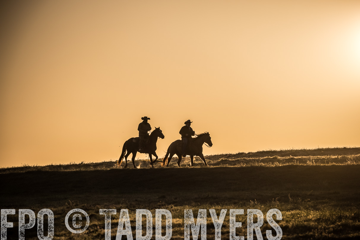 TMyers_44Farms_Cameron_March2021-5189