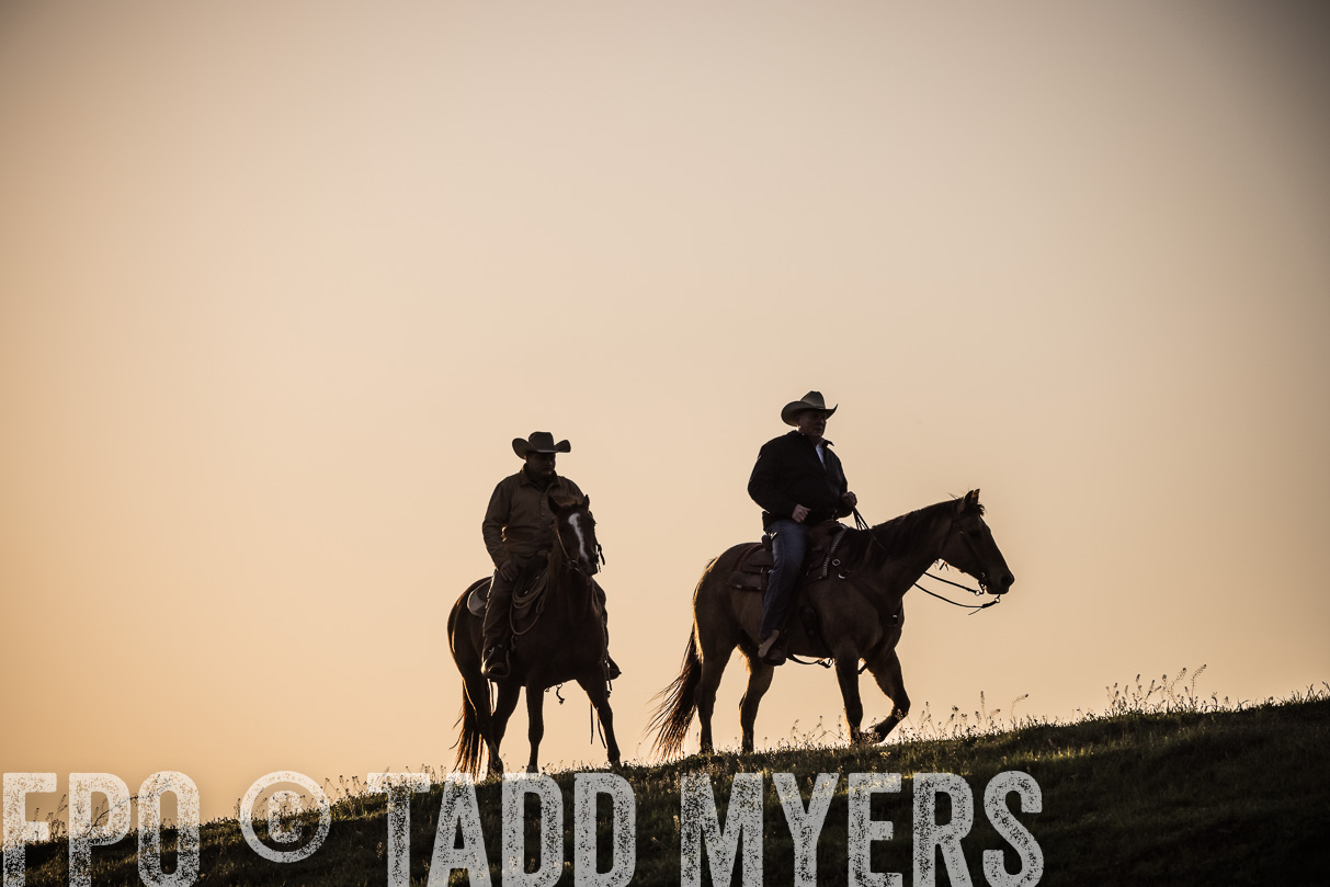 TMyers_44Farms_Cameron_March2021-5222