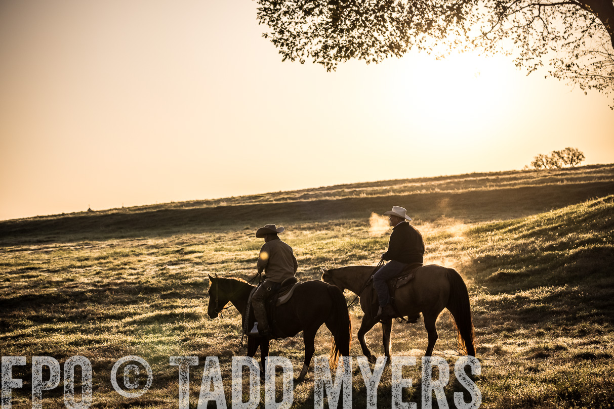 TMyers_44Farms_Cameron_March2021-5275