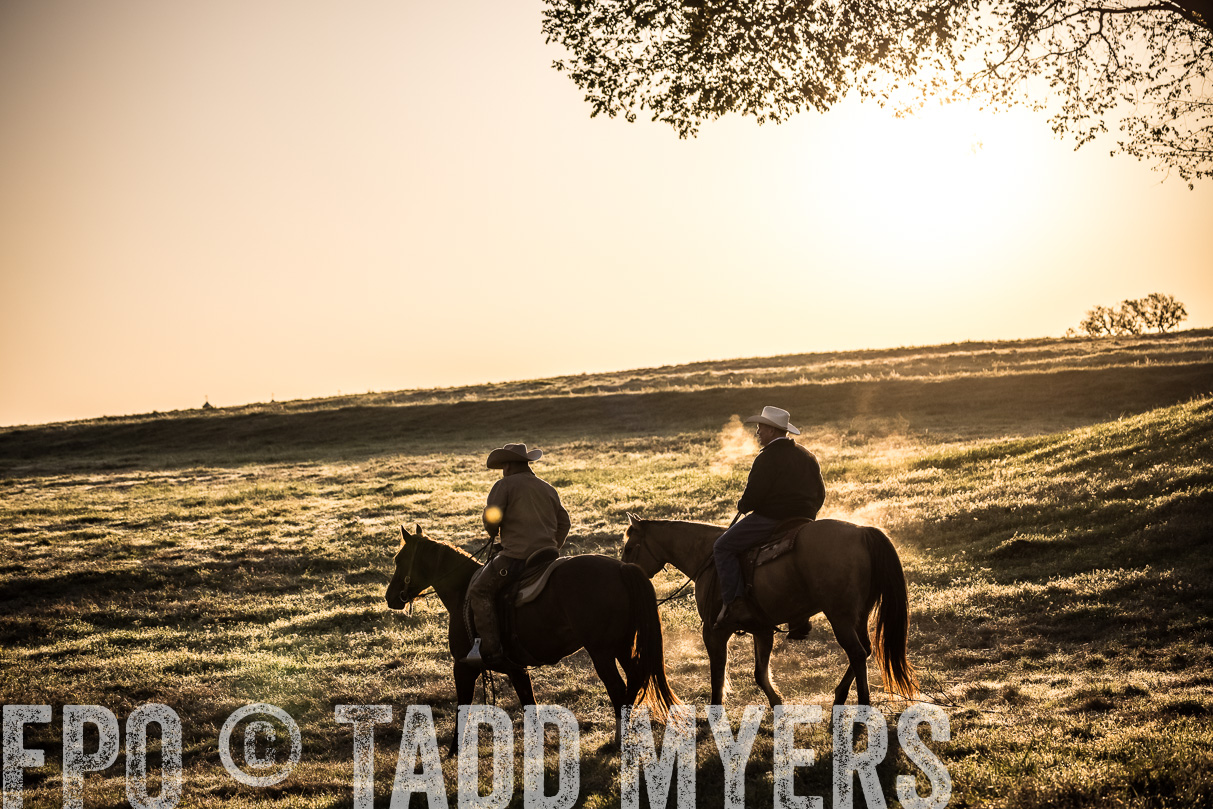 TMyers_44Farms_Cameron_March2021-5276