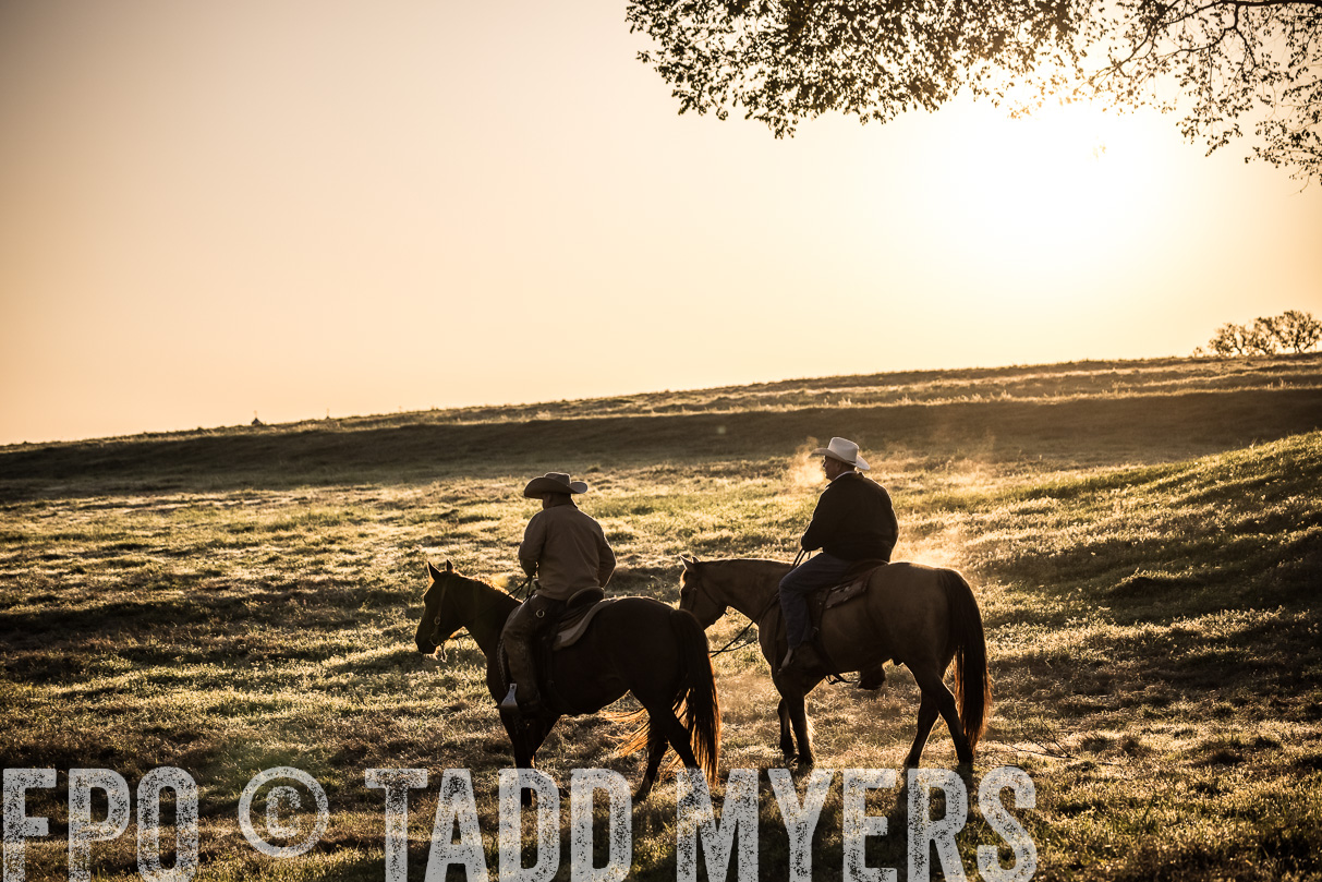 TMyers_44Farms_Cameron_March2021-5277